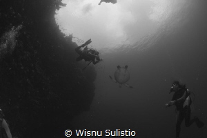 Turtle shoot at Bunaken by Wisnu Sulistio 